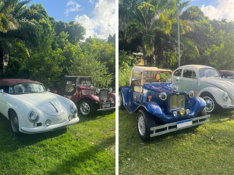 Old Car Festival