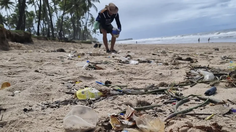 Participe: Limpeza de Praia em Vilas na Semana do Meio Ambiente (07) Limpeza de praia em Vilas