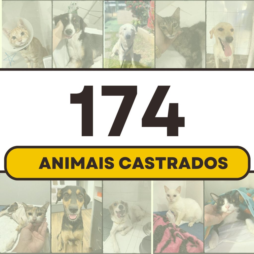 Animais Castrados - Tampet Lauro