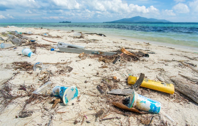 Voluntariado ambiental mobiliza ação em Vilas do Atlântico Voluntariado ambiental mobiliza ação em Vilas do Atlântico